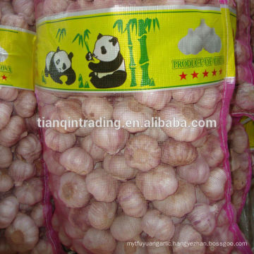 10kg bags garlic for kenya